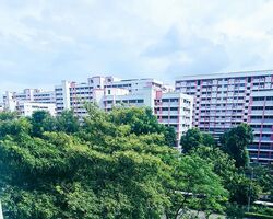 the-quartz photo thumbnail #4